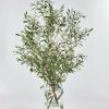 Everyday Greenery Radial | Artificial Olive Branch Arrangement In Glass Vase - 49"