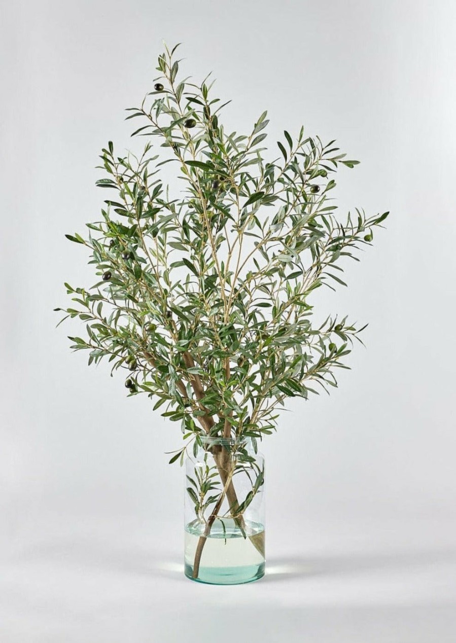 Everyday Greenery Radial | Artificial Olive Branch Arrangement In Glass Vase - 49"