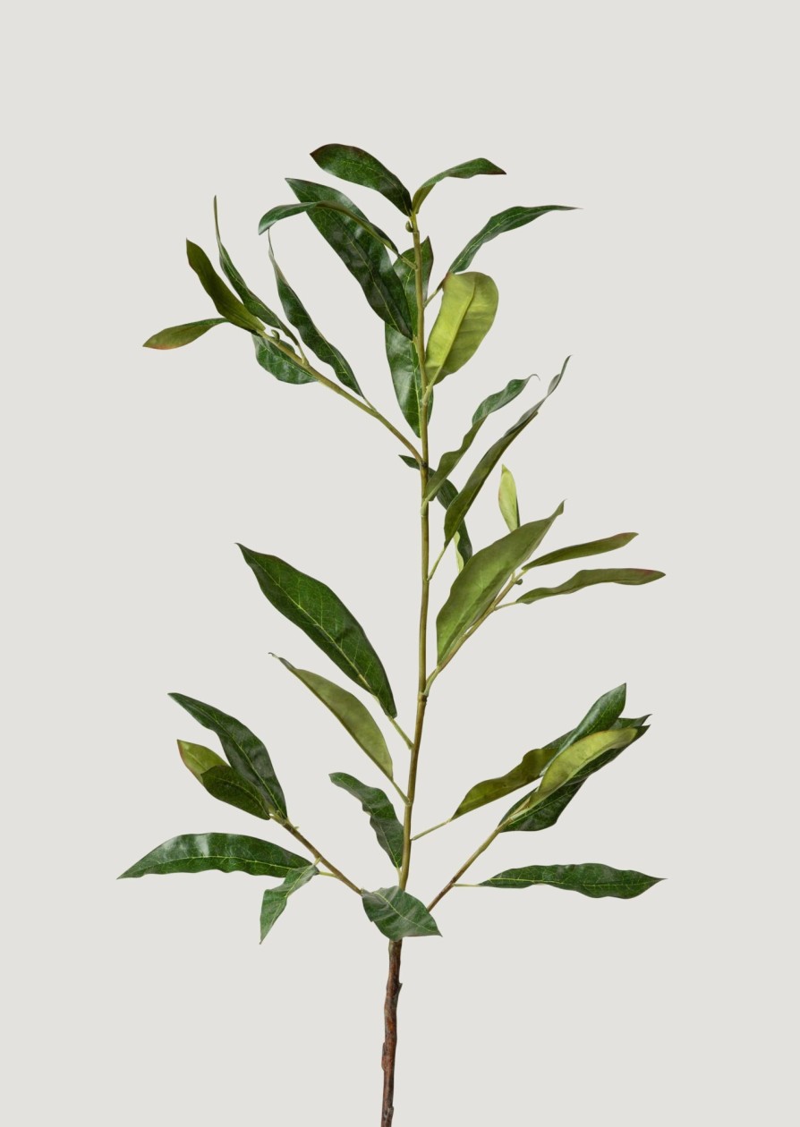 Everyday Greenery Radial | Artificial Coffee Leaf Branch - 39"