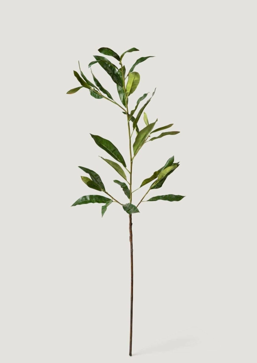 Everyday Greenery Radial | Artificial Coffee Leaf Branch - 39"