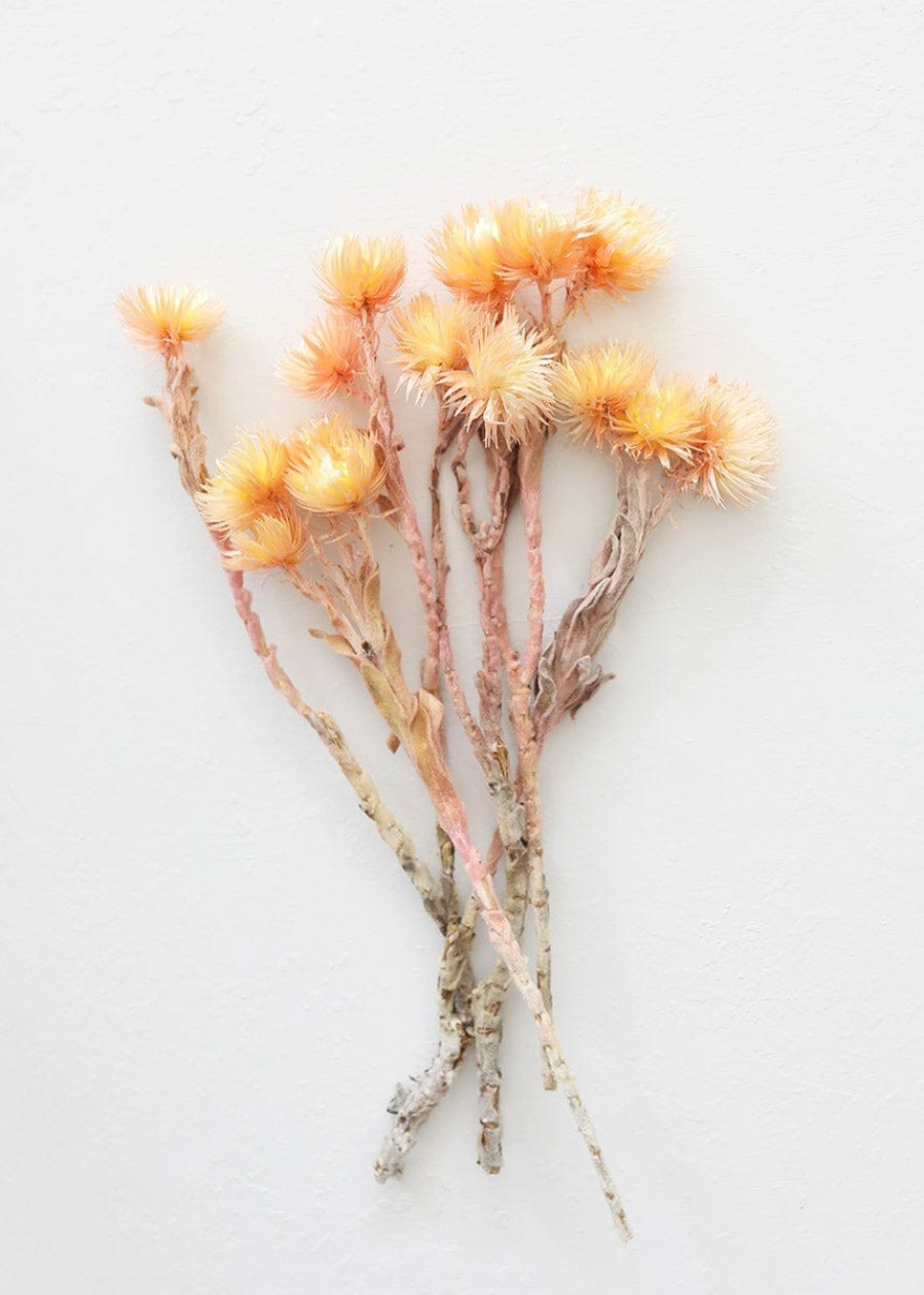 Fall Foliage Radial | Dried Peach Silver Daisy Flowers - 10-13"