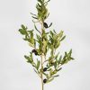 Everyday Greenery Radial | Artificial Olive Leaf Branch - 46"