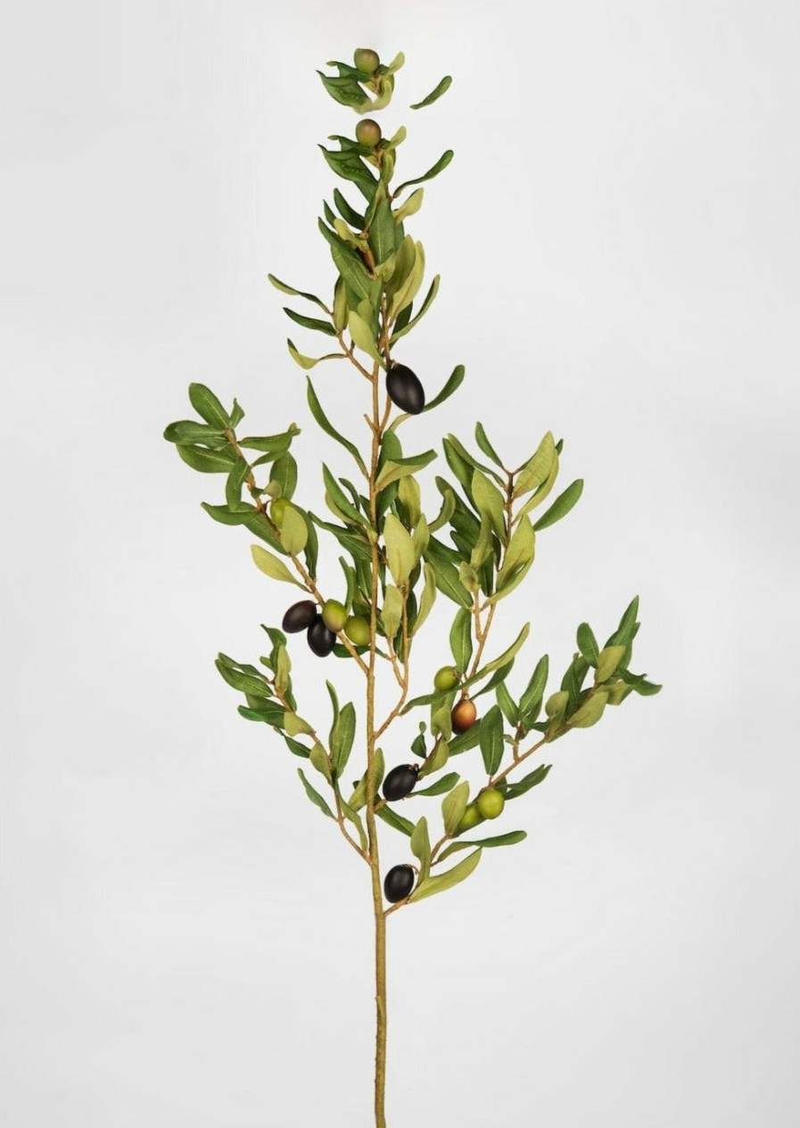 Everyday Greenery Radial | Artificial Olive Leaf Branch - 46"