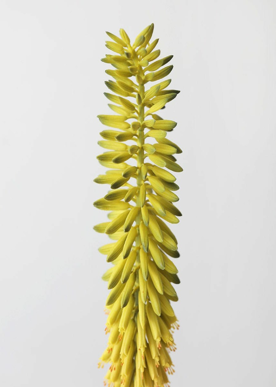 Blooming Florals Radial | Green Yellow Fake Flower Agave Bloom - 34.25"