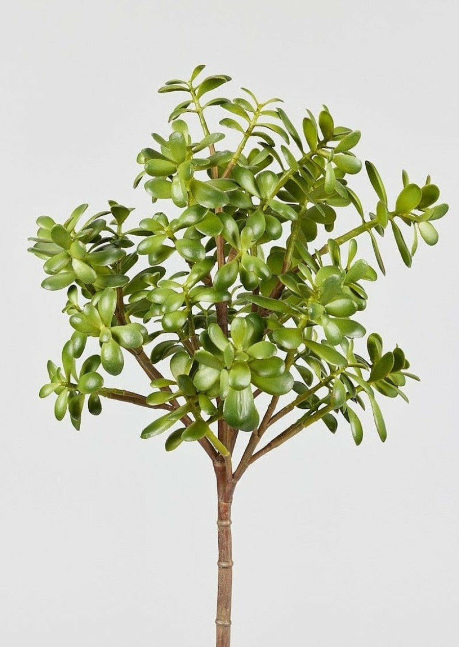 Everyday Greenery Radial | Artificial Jade Succulent Plant - 31"