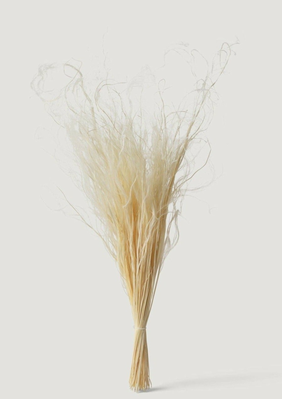 Everyday Greenery Radial | Cream Dried Feather Grass Bundle - 19-22"