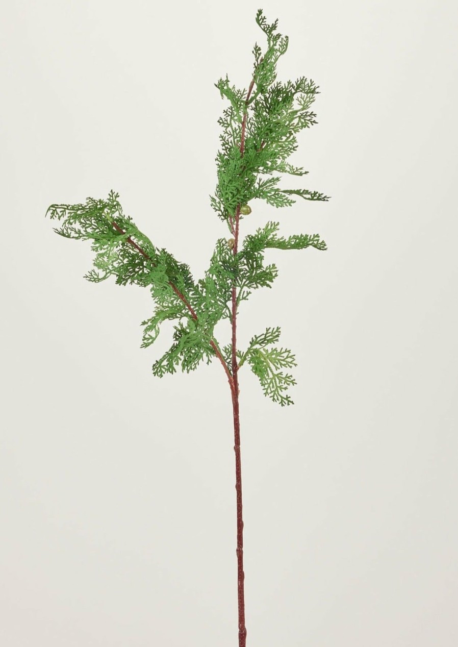 Everyday Greenery Radial | Fake Cedar Greenery Branch - 28"