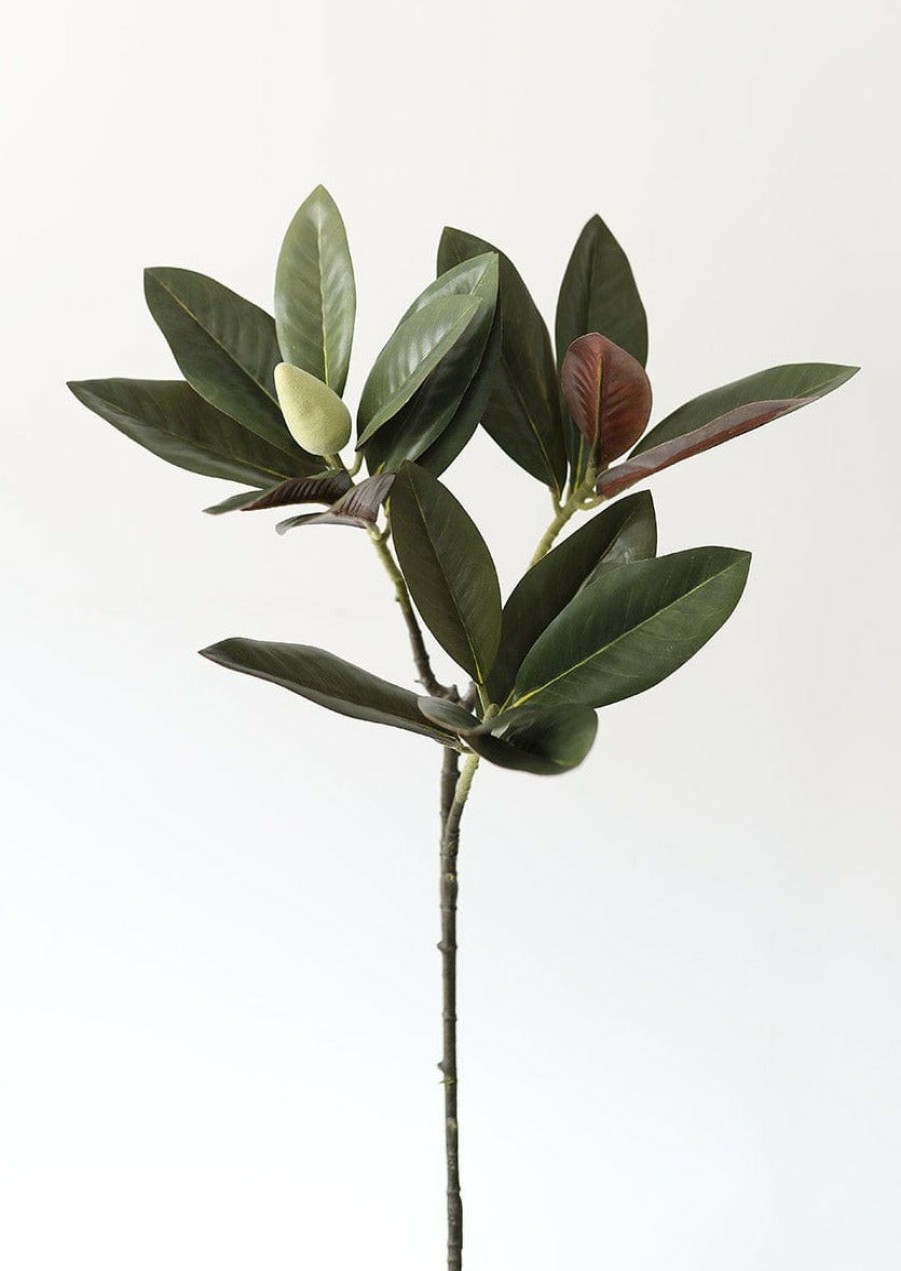 Everyday Greenery Radial | Artificial Magnolia Branch - 34.5"