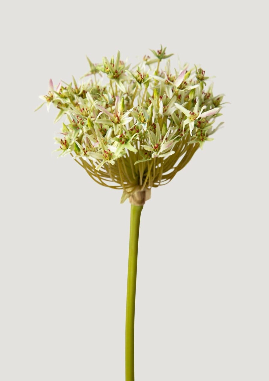 Blooming Florals Radial | Artificial Allium Flower In Green - 36"