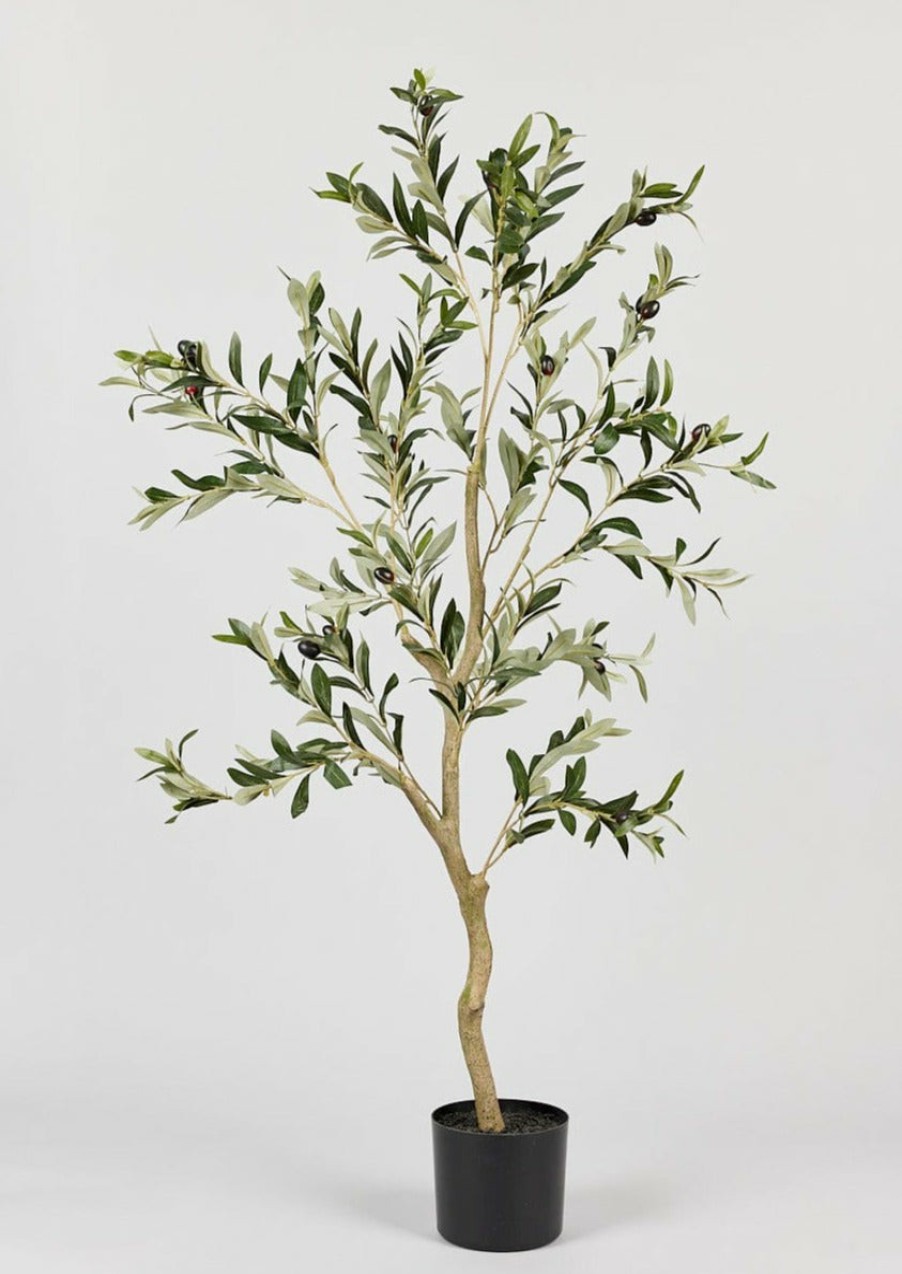 Everyday Greenery Radial | Artificial Potted Olive Tree Plant - 48"