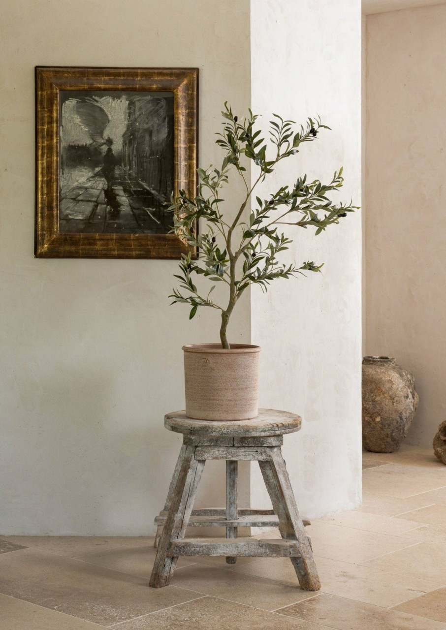 Everyday Greenery Radial | Artificial Potted Olive Tree Plant - 48"