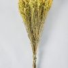 Fall Foliage Radial | Yellow Dried Flowers Solidago Goldenrod Bundle - 23-28"