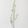 Everyday Greenery Radial | Artificial Branch With Green Buds - 40"