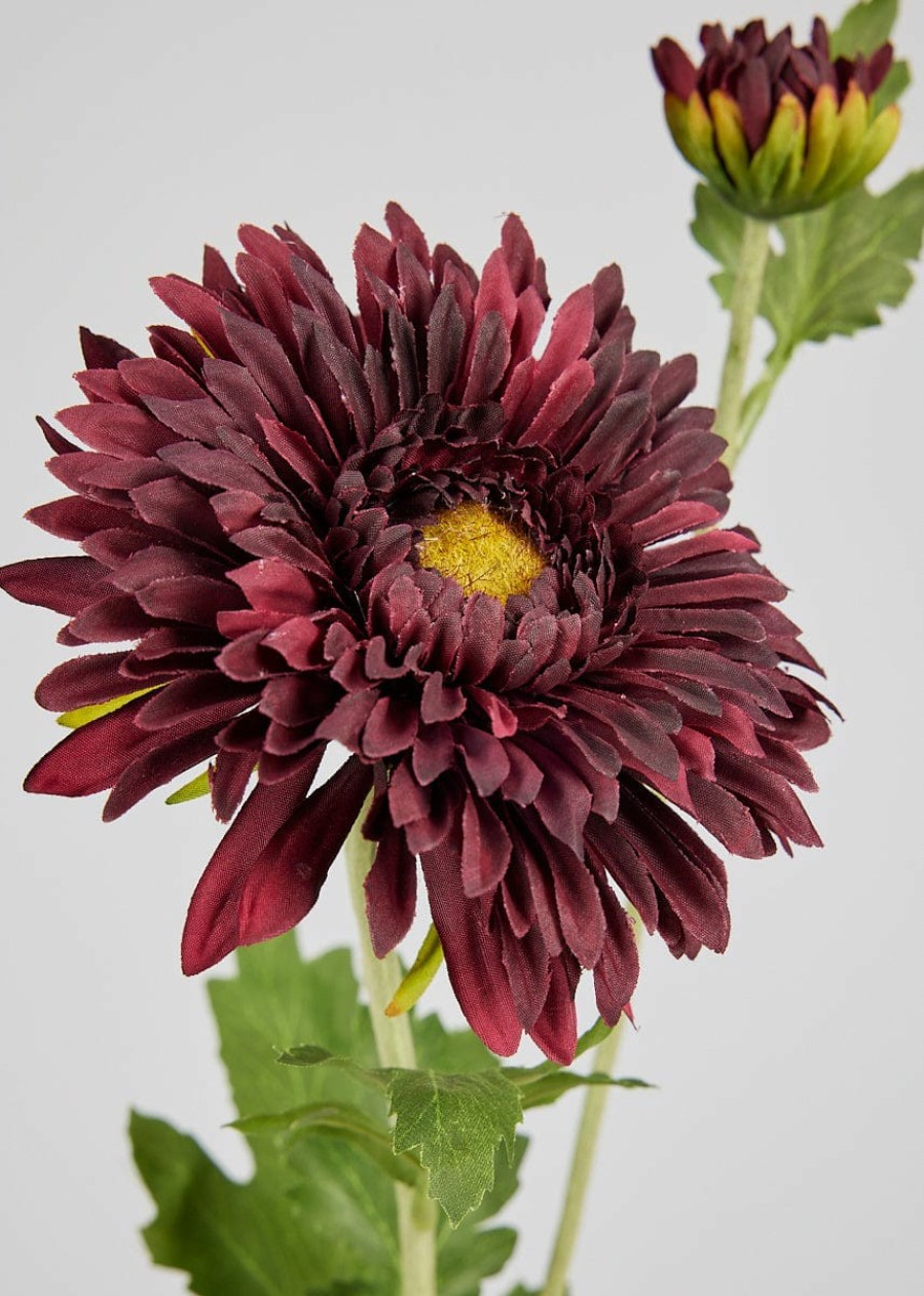 Blooming Florals Radial | Burgundy Artificial Mum Wild Flower - 28.25"