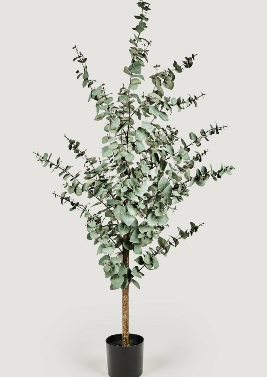 Everyday Greenery Radial | Artificial Potted Eucalyptus Tree - 61"