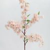 Blooming Florals Radial | Soft Pink Faux Cherry Blossom Branch - 40"