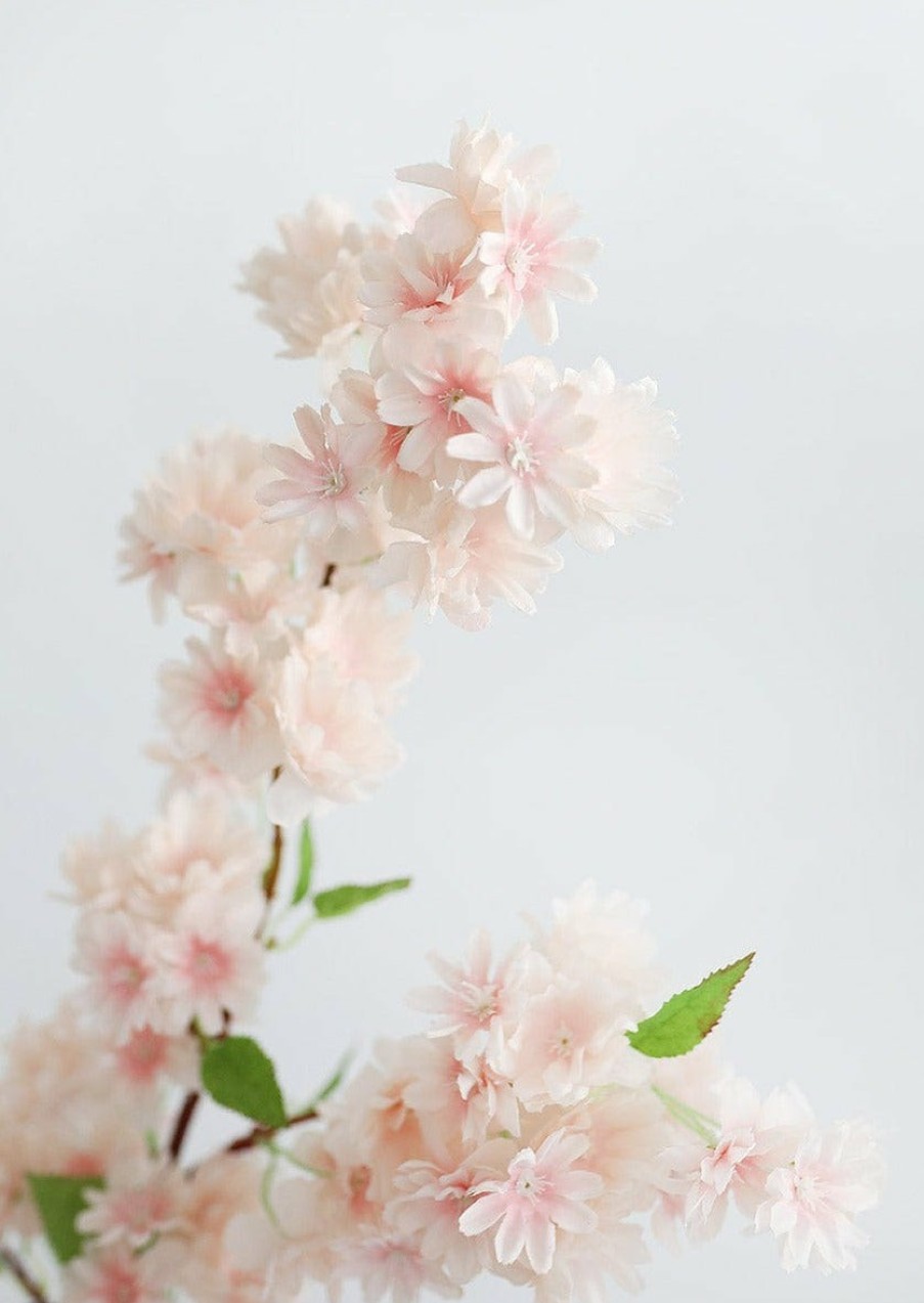 Blooming Florals Radial | Soft Pink Faux Cherry Blossom Branch - 40"