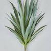 Everyday Greenery Radial | Artificial Indoor/Covered Outdoor Yucca Plant - 27"