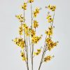 Blooming Florals Radial | Faux Forsythia Branch In Yellow - 53"