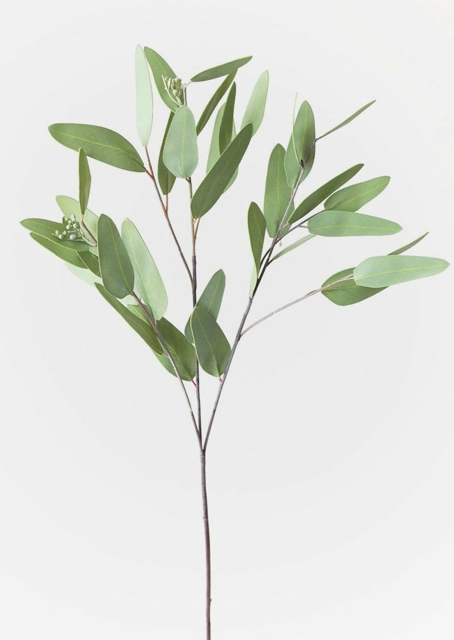 Everyday Greenery Radial | Faux Real Touch Eucalyptus Branch - 31"