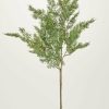 Winter Forest Radial | Artificial Winter Cedar Branch - 34"