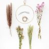 Fall Foliage Radial | Diy Pink Dried Floral Bundle Kit - 7.75" Hoop