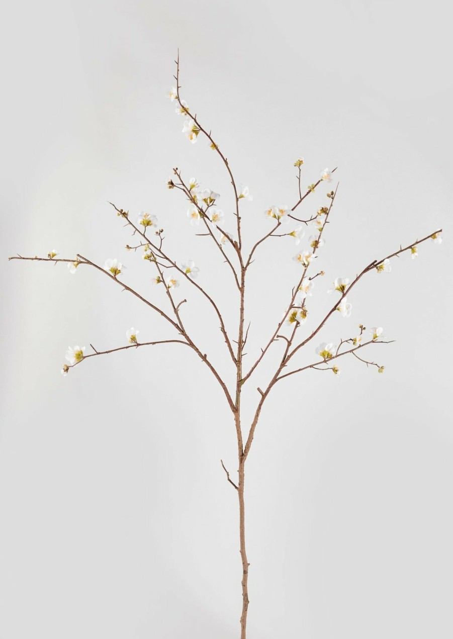 Blooming Florals Radial | Faux Quince Blossom Branch In Cream - 54"