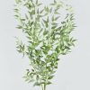 Everyday Greenery Radial | Faux Italian Ruscus Spray - 46"