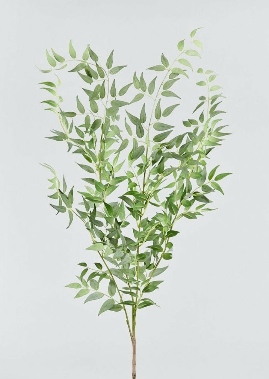 Everyday Greenery Radial | Faux Italian Ruscus Spray - 46"