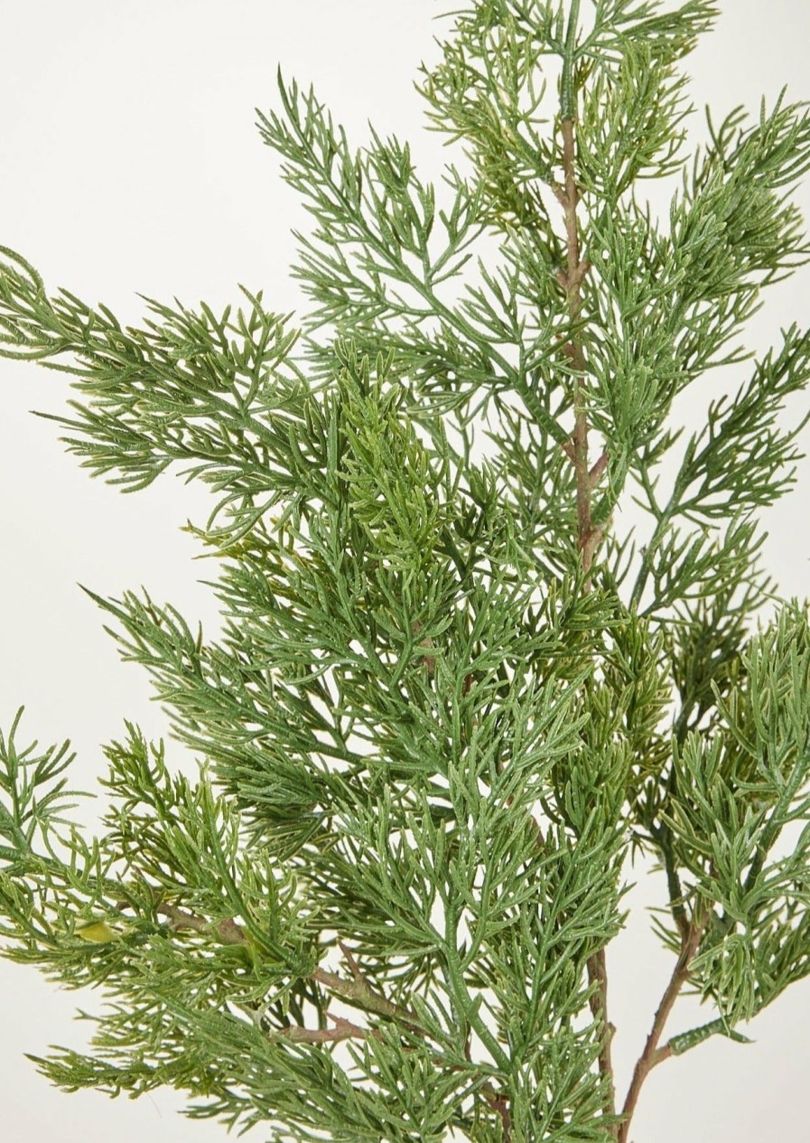 Everyday Greenery Radial | Artificial Winter Cedar Branch - 34"