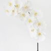 Blooming Florals Radial | Large White Faux Orchids - 44"