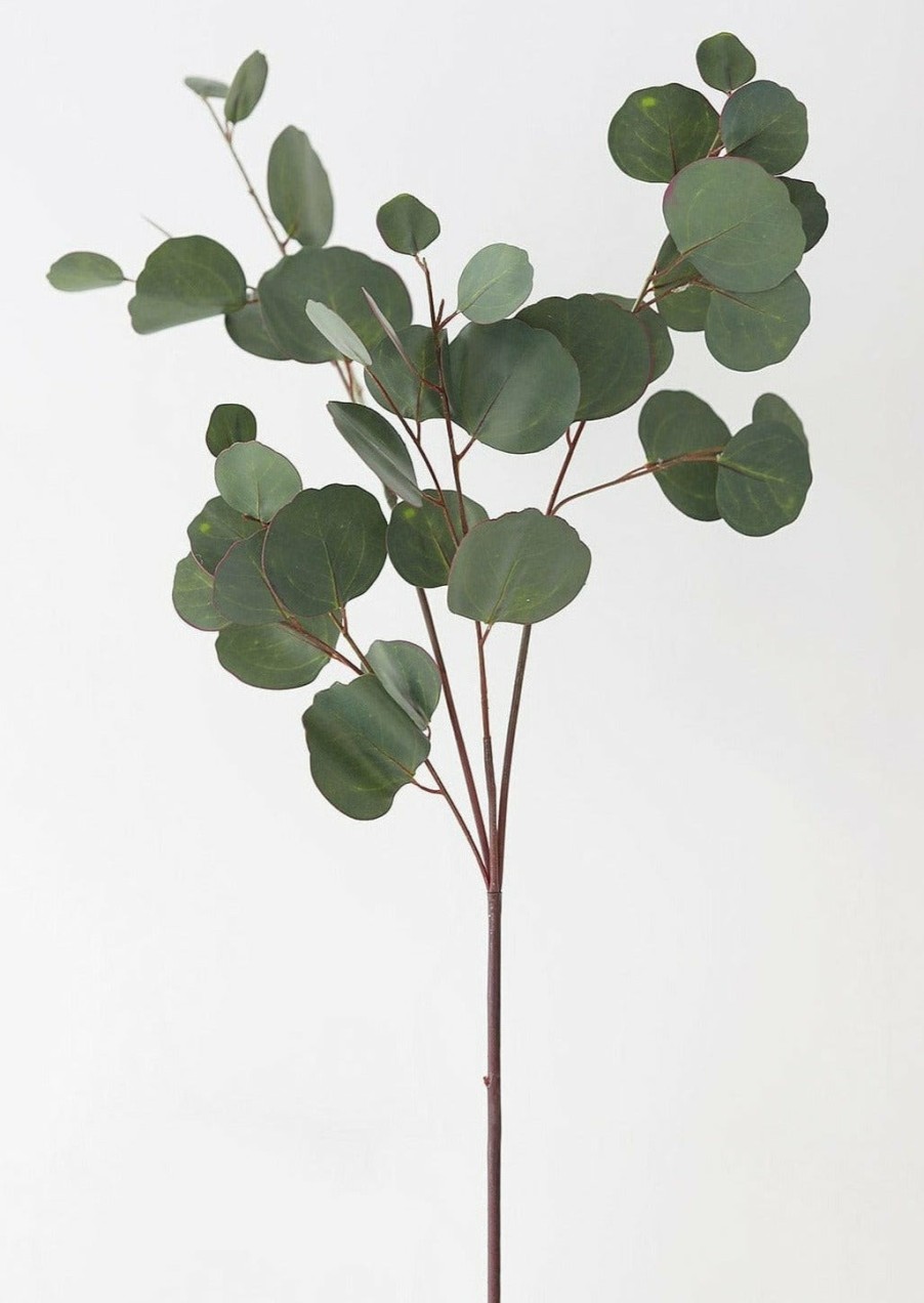 Everyday Greenery Radial | Real Touch Silver Dollar Eucalyptus - 30"