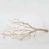 Everyday Greenery Radial | Dried Decor Natural Sandblasted Manzanita Branch - 34-38"