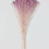 Fall Foliage Radial | Lilac Preserved Broom Bloom Flower Bundle - 15-19"