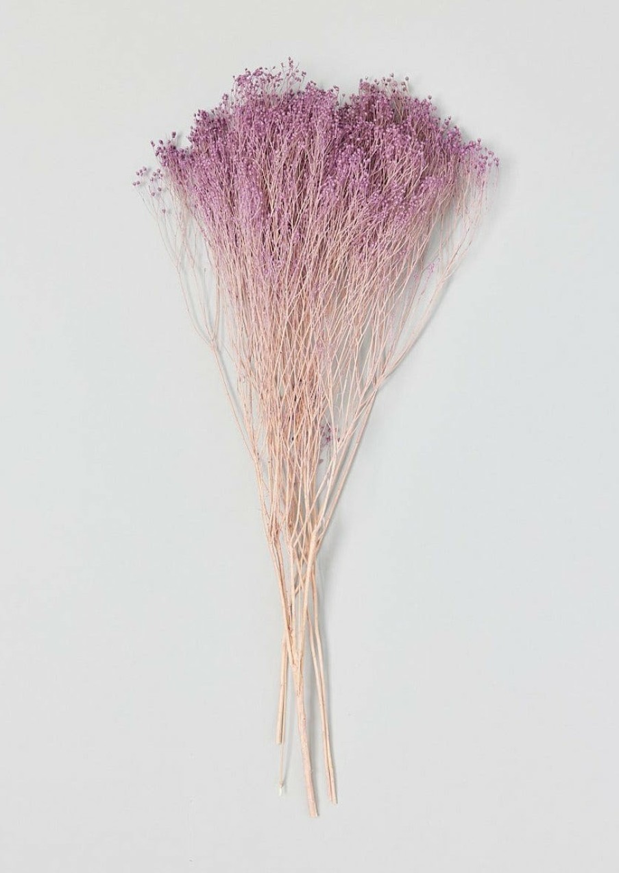 Fall Foliage Radial | Lilac Preserved Broom Bloom Flower Bundle - 15-19"