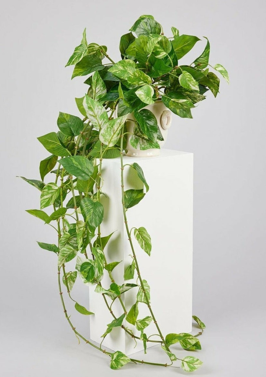 Everyday Greenery Radial | Natural Touch Pothos Artificial Plant - 48"