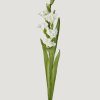 Blooming Florals Radial | White Gladiolus Faux Flower - 36"