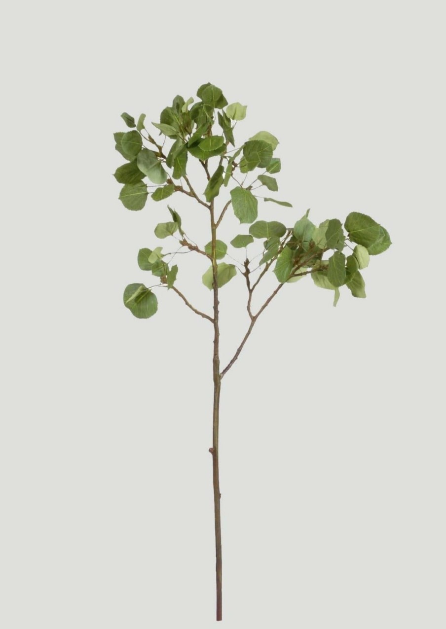 Everyday Greenery Radial | Artificial Aspen Tree Branch - 42"