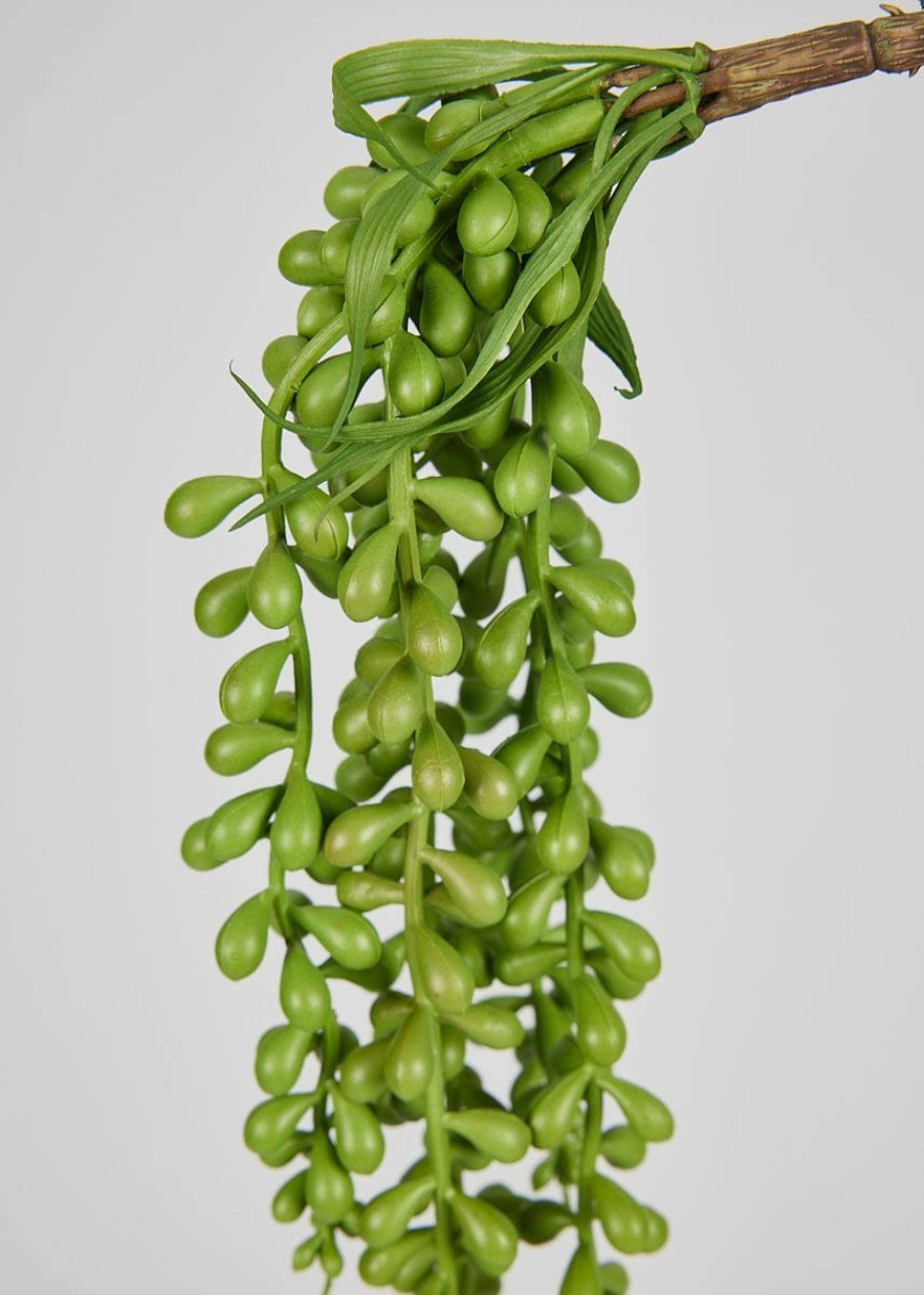 Everyday Greenery Radial | Natural Touch Hanging String Of Pearl - 27"