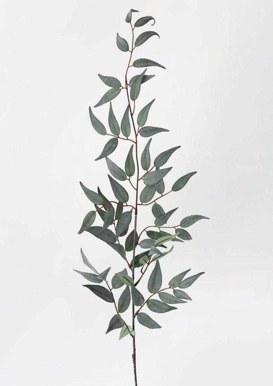 Everyday Greenery Radial | Artificial Italian Ruscus Leaf Branch - 36"