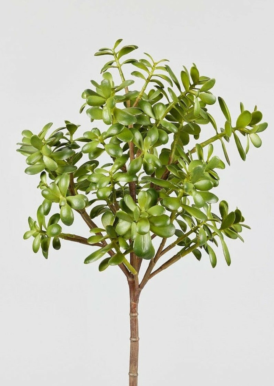 Everyday Greenery Radial | Artificial Jade Succulent Plant - 31"