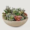 Everyday Greenery Radial | Faux Potted Plant Arrangement Of Succulents - 13"