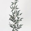 Everyday Greenery Radial | Artificial Italian Ruscus Leaf Branch - 36"