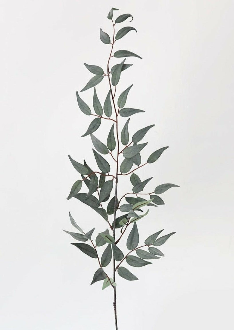 Everyday Greenery Radial | Artificial Italian Ruscus Leaf Branch - 36"