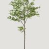 Everyday Greenery Radial | Artificial Maple Tree Potted Plant - 7'