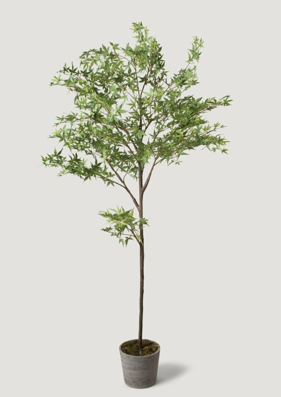 Everyday Greenery Radial | Artificial Maple Tree Potted Plant - 7'