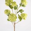 Blooming Florals Radial | Faux Snowball Flower In Green - 43.5"