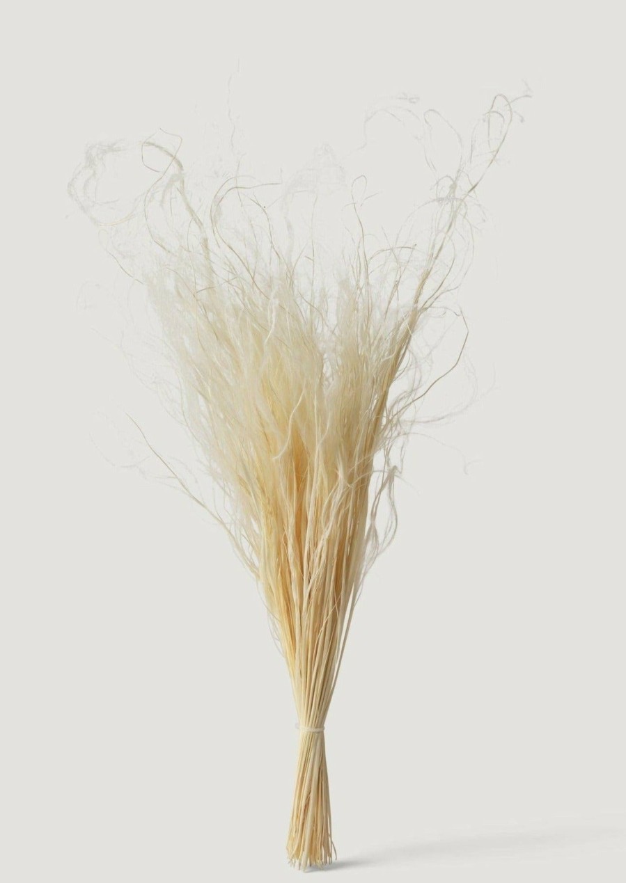 Fall Foliage Radial | Cream Dried Feather Grass Bundle - 19-22"