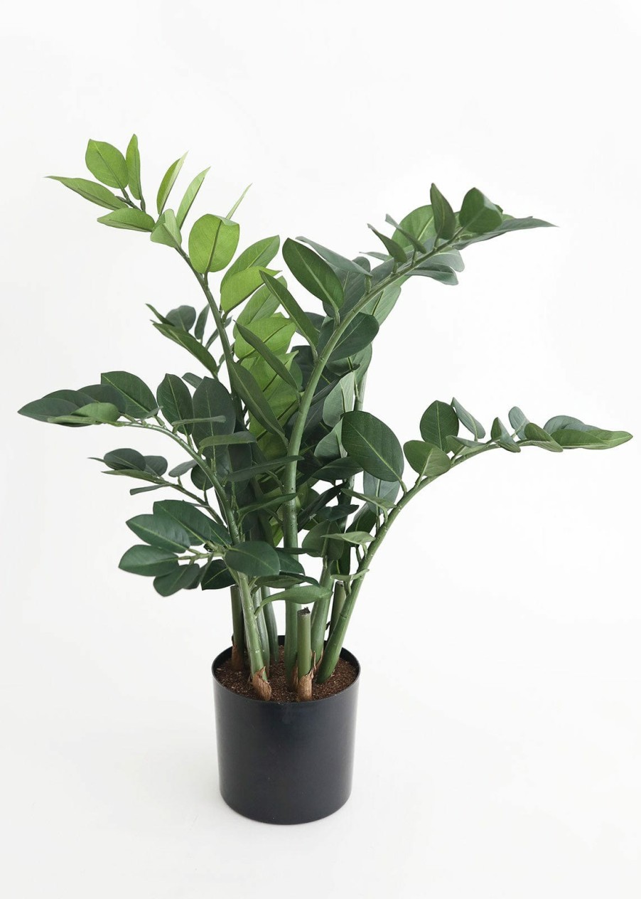 Everyday Greenery Radial | Artificial Zz Tropical Plant In Pot - 30"