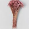 Fall Foliage Radial | Pink Misty Dried Marcela Star Flower Bundle - 10-14"